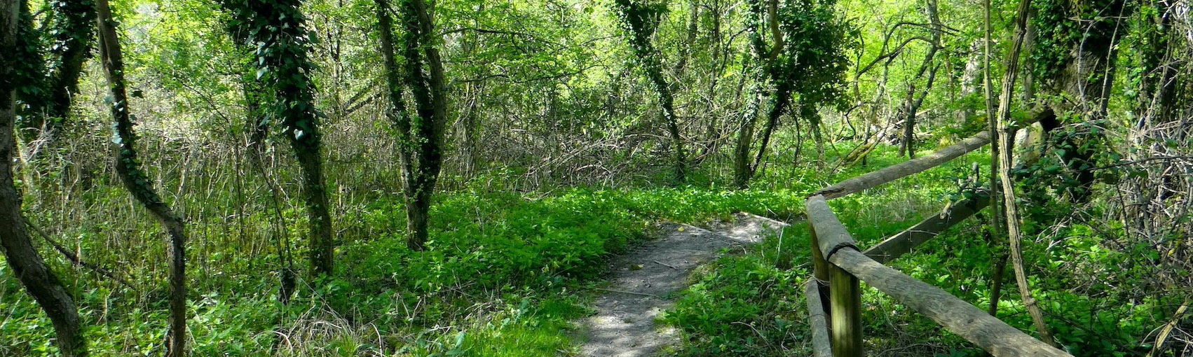 Nature Trails Header image Nature Trails Header image