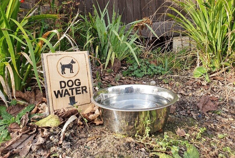 You are welcome to make use of several dog bowls positioned around the Museum site.