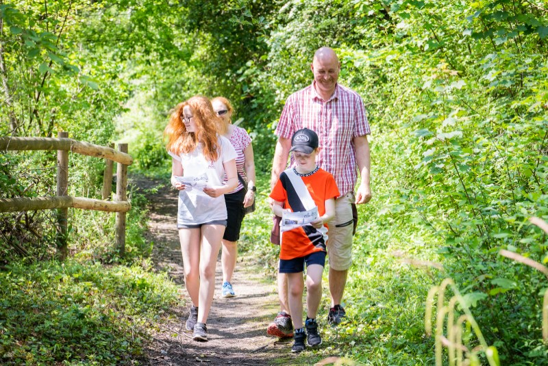 Rail Gala at Amberley Museum