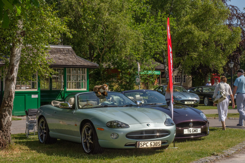 Jaguar Drivers Car Club Meet