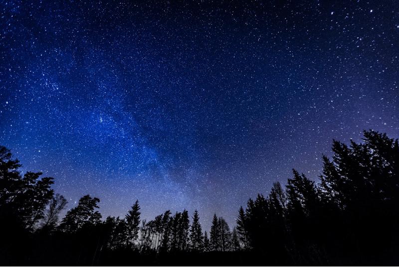 Rail Gala at Amberley Museum